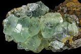Cubic, Green Fluorite (Dodecahedral Edges) - China #114021-3